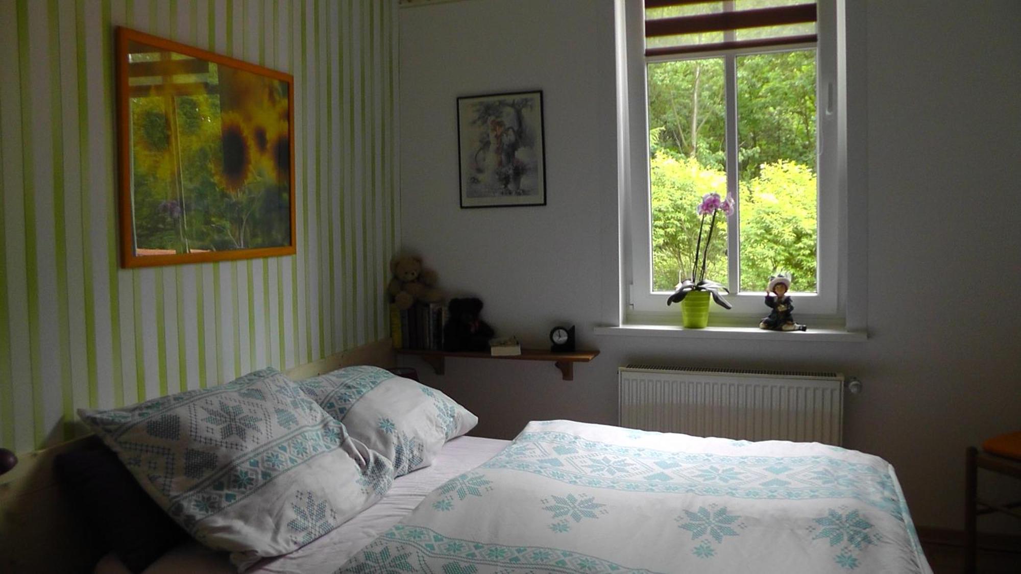 Regina Apartment Schierke